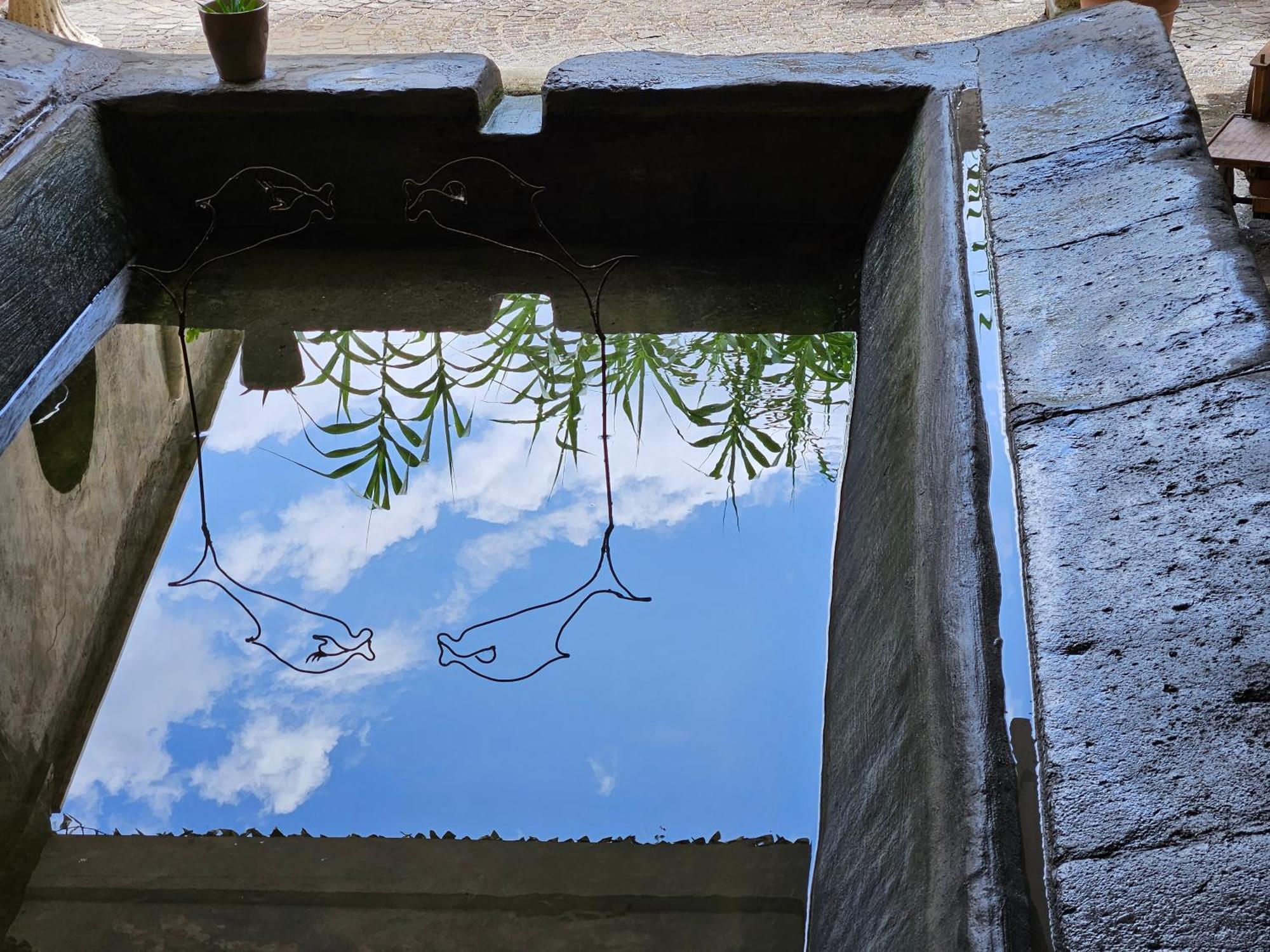 L' Antico Lavatoio Acomodação com café da manhã Rignano Flaminio Exterior foto