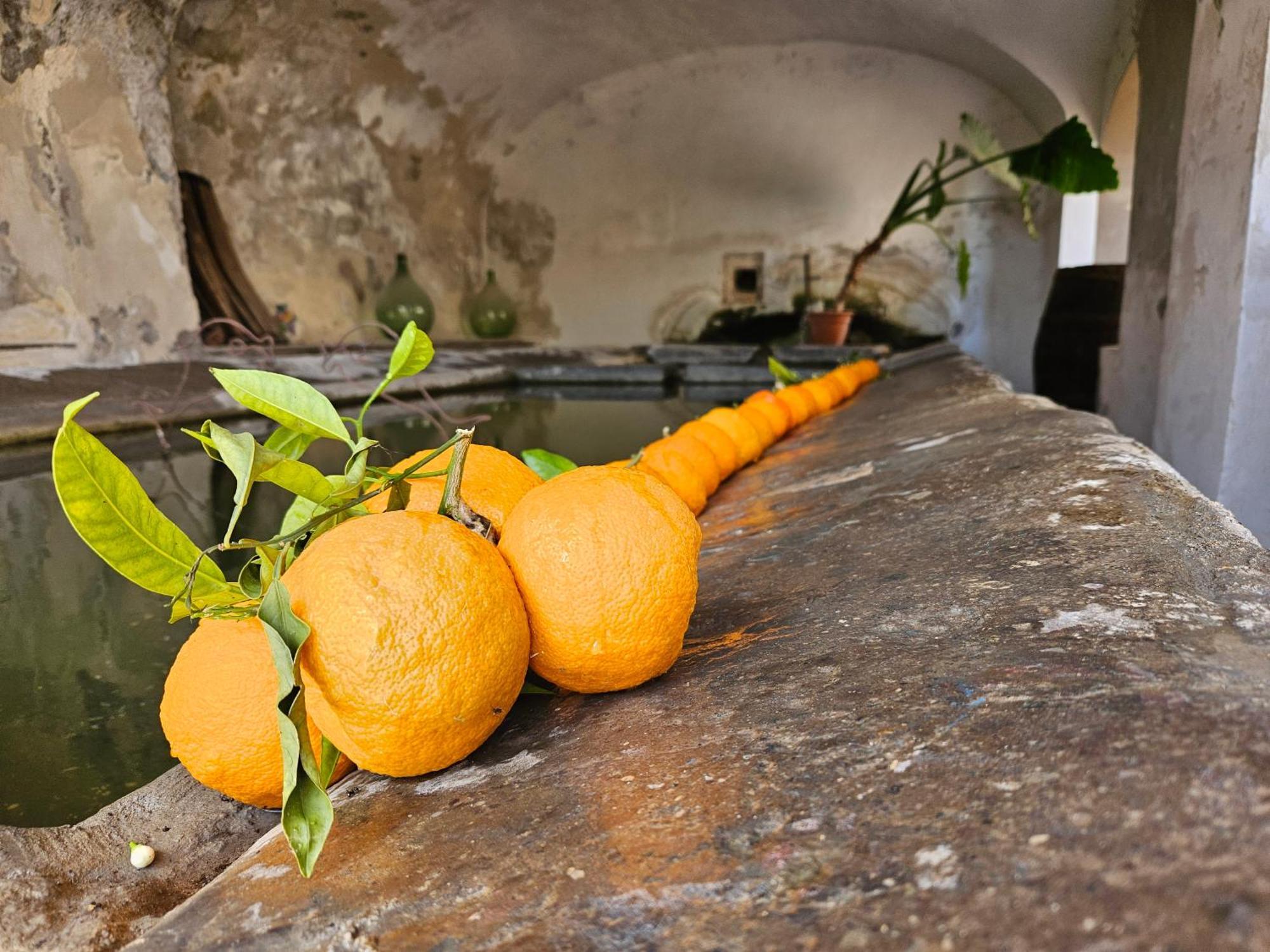 L' Antico Lavatoio Acomodação com café da manhã Rignano Flaminio Exterior foto